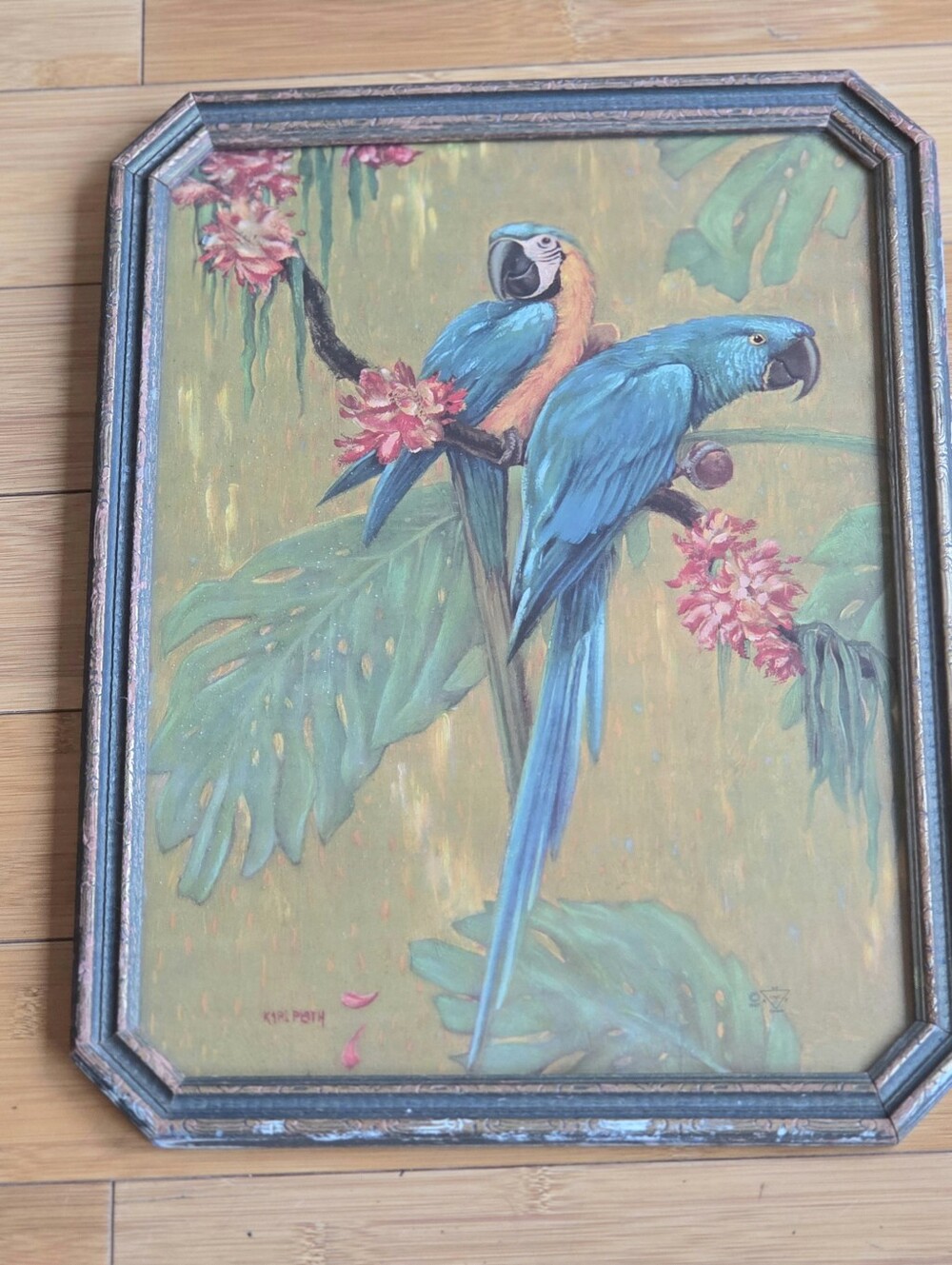Antique 1927 Framed Karl Plath Lithograph Macaws, Parrots in Original Frame